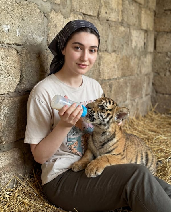 lifestyle portrait with animal interaction prompt preview