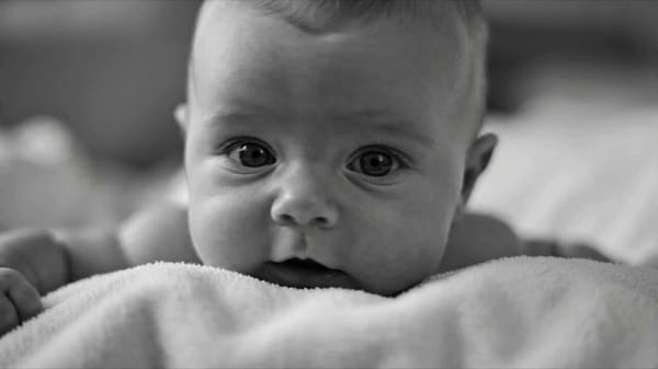 A continuous 15-second cinematic black and white short film montage focused on the character's four… prompt example