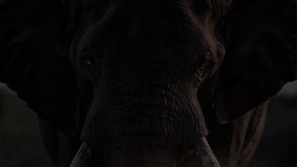 Create a 16-second ultra-cinematic wildlife trailer in vertical 9:16 format featuring three iconic… prompt example