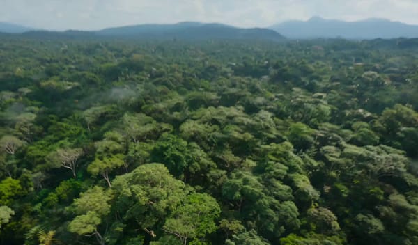 Start high above a dense Amazonian rainforest canopy, an unbroken green ocean, as the camera dr…