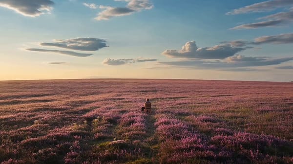 Convert each frame of @image_1 into a video and connect them. A peaceful style shot of an elder…