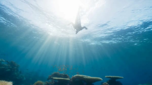 A marine biologist in a sleek wetsuit swims through the vibrant coral reefs of the Great Barrie…