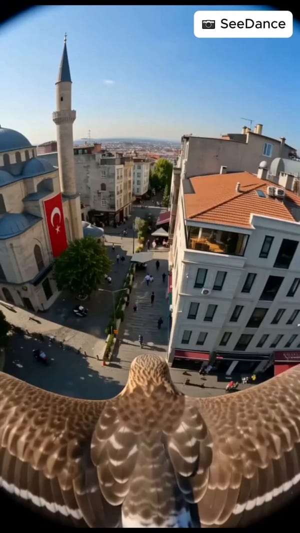 Bir kartalın POV bakış açısından sokakta farenin kovalanması, tek plan çekim. bazı insanlar far…