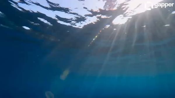 A cinematic 8K ultra-realistic sequence of a professional underwater cameraman diving into a cr…