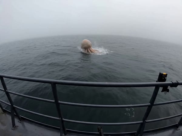 It’s bouncing on the water! I’m engaging! What the hell is that thing?! prompt example