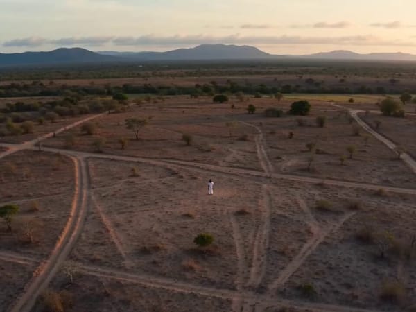 A women dances in the middle of the arid land of the county side of Bahia state in Brazil prompt example