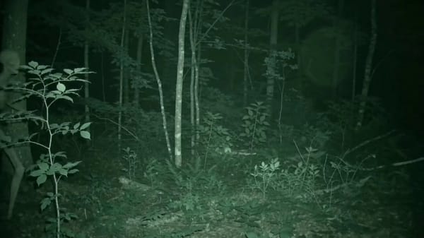 Scene: Night vision footage of a skin walker walking through the forest at night. Location: Bla…