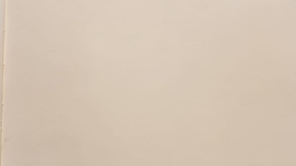 POV video of creating a funny crayon portrait of Elon Musk on textured paper, close-up hand dra…