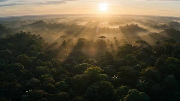 Ultra-realistic cinematic jungle sequence, filmed like a premium wildlife documentary. Dense tr…