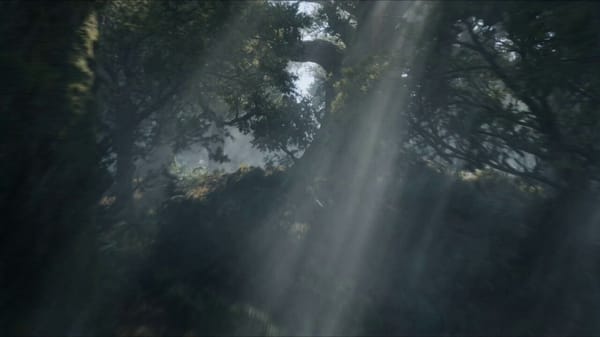A deadly elven huntress with silver hair, weathered leather armor, piercing emerald eyes, long…
