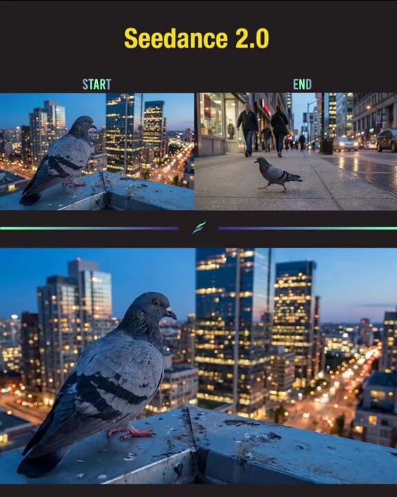 The scene starts with a tight close-up on the pigeon's eye and head as it pushes off a rooftop…