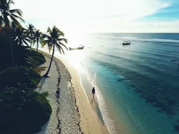 ARRIVAL AT THE BEACH Duration: 10 Seconds Aspect Ratio: 4:3 Vertical Style: NALDI style cinemat…