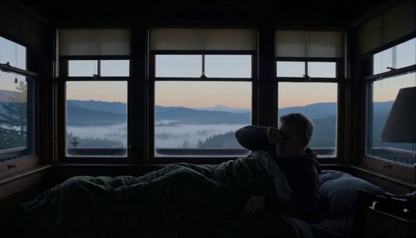 Dense redwood forest during heavy fog. A wildlife photographer spends the night inside a fire w…