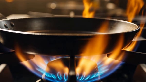 THE FLAME CHEF - 15 second high-energy cinematic cooking film, 10 rapid scenes, fast rhythmic p…