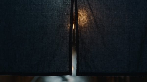 SCENE: Night alley in old Japan. Locked camera, low and close, 16:9. A dark indigo noren hangs…